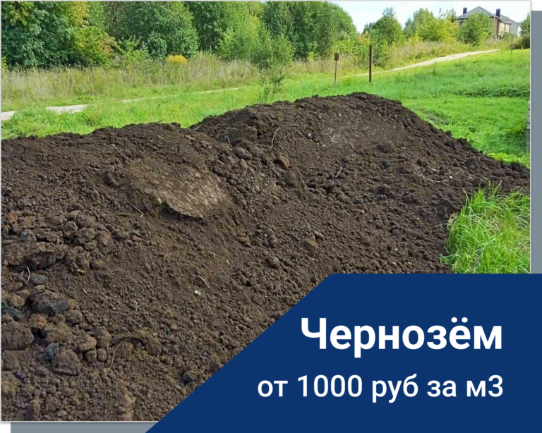 Chernozjom